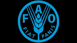 AI Generated  The Evolution of FAO Into AI [upl. by Euqininod]