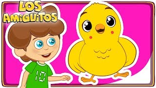 Pollito Amarillito 🐥 y muchas máss cancion infantil  Los Amiguitos [upl. by Acirretahs240]