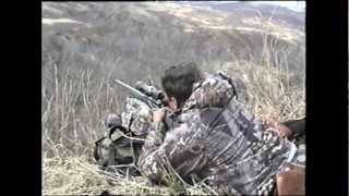 Brown Bear Hunting on Kodiak Island  MossBack [upl. by Jo-Ann]