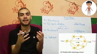 Nerd Physiology 707CNS3Synapses Follow Neuron pool processing  NeurotransmittersMedical [upl. by Yeh]