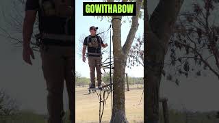 Falling out of my tree stand treestand safety falling gowithabow bowhunting huntingseason [upl. by Lud]