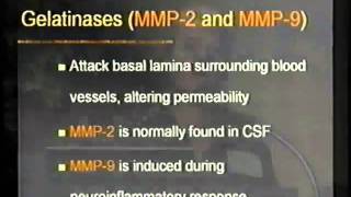 Matrix Metalloproteinases in Demyelinating Disease [upl. by Erual]