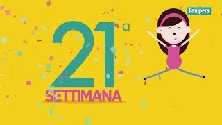 21° settimana di gravidanza [upl. by Nalac]