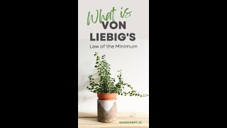 What is Von Liebigs Law of the Minimum and how does it affect the growth of ornamental plants [upl. by Javier]