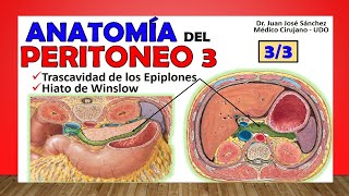 🥇 PERITONEO 33 Trascavidad de los Epiplones Bolsa Omental [upl. by Annig]