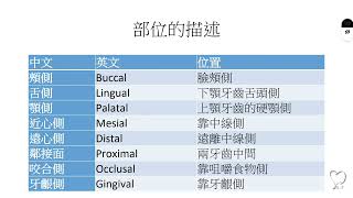 牙科的基礎知識 [upl. by Eaner]