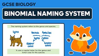 Binomial Naming System  GCSE Biology [upl. by Adnerb]