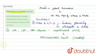 Functions of auxins include  11  PLANT GROWTH AND DEVELOPMENT  BIOLOGY  NCERT FINGERTPS ENG [upl. by Eyks]