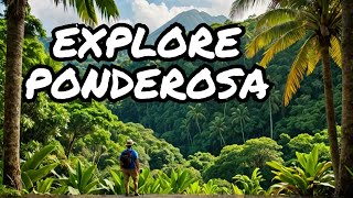 Welcome to Ponderosa Costa Rica The Most Insane Travel Experience [upl. by Liza598]