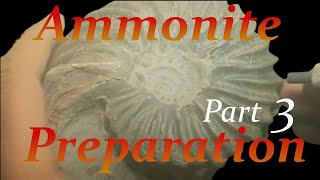 Ammonite preparation Hoplites from Troyes Part 3 [upl. by Gahan348]