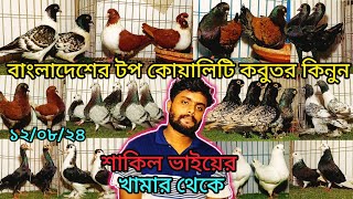 বাংলাদেশের টপ কোয়ালিটি কবুতর কিনুন শাকিল ভাইয়ের খামার থেকে।pigeonvideospigeon [upl. by Eiruam]