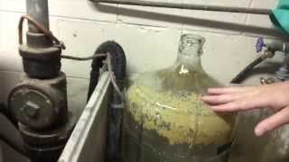 Cleaning Carboys [upl. by Anahsat]