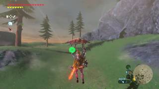 Zelda Breath of the Wild  Lynel Location 5 Zoras Domain  Ploymus Mountain [upl. by Esorylime]