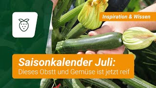 Saisonkalender Dieses Obst und Gemüse ist im Juli reif [upl. by Jochebed819]