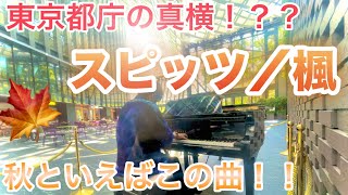 【ストリートピアノ】東京都庁の隣にある三角広場で、秋の名曲【スピッツ／楓】を弾いてみた🍁 [upl. by Guevara]