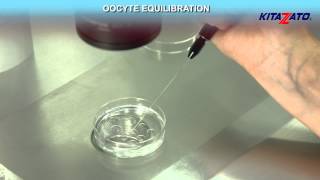 Kitazato Cryotop® Oocyte Vitrification  Open System [upl. by Pinkerton214]