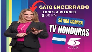 CASO CERRADO O GATO ENCERRADO UN PROGRAMA QUE NUNCA DEBIO EXISTIR CASO CERRADO 🕵️‍♂️🔒🐱 [upl. by Giwdul]