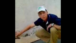 Damaged Stucco Repair Elastomeric Paint [upl. by Coucher]