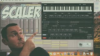 Scaler Plugin Boutique [upl. by Esaertal]