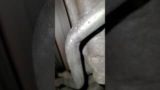 QX80QX56 Stretched timing chain issue noise [upl. by Eenot]