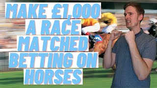 Matched Betting on Horses for Beginners guide amp tutorial using OddsMonkey or Profit accumulator [upl. by Tebzil]