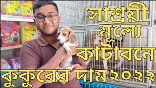 কাটাবন কুকুরের দাম  কাটাবন কুকুরের দাম কত ২০২২ Katabon dog price in 2022 Dog price in Bangladesh [upl. by Nnylarej]