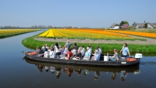 Keukenhof Gardens [upl. by Nickey]