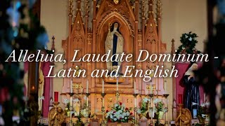 Alleluia Laudate Dominum Latin and English Lyrics  Eastertide Benediction Chant [upl. by Reagan]