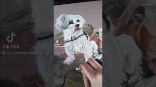 tekenen art drawing pastelpotloden creatief creative dogpainting dierenportretdoghond [upl. by Mccallion]