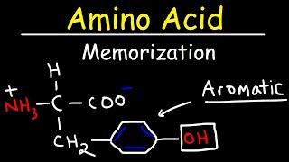 Memorize The 20 Amino Acids  The Easy Way [upl. by Lrak368]