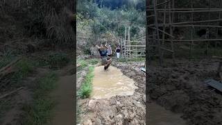 Splashing water scared me a rural mud pit competition [upl. by Bernardine]