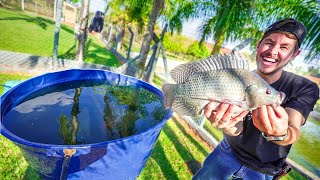 O REI DO GADO JAMAIS VAI IMAGINAR QUE FOI EU 🤫 FIZ UM LAGO ARTIFICIAL NA FAZENDA [upl. by Davie]