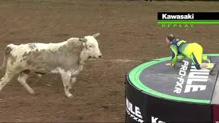 Flint Rasmussen Goes FacetoFace with a Bull [upl. by Stutsman682]