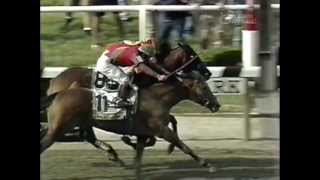 The Belmont Stakes  Triple Crown Near Misses [upl. by Tnayrb]