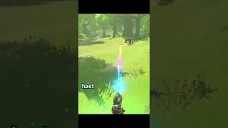 Krasse Waffe BotW tricks botw zelda [upl. by Royd]