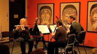 Scott Joplin Cascades  Lieurance Woodwind Quintet at the Ulrich Museum of Art [upl. by Imehon]