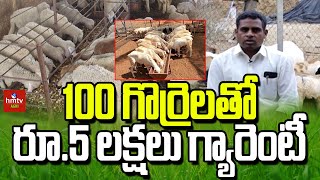 100 గొర్రెలతోరూ5 లక్షలు గ్యారెంటీ l Nelatalli l Agri hmtv [upl. by Aisad]