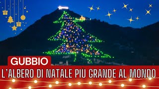 Elena Ballerini  Gubbio acceso lalbero di Natale più grande del mondo  Citofonare Rai212122021 [upl. by Thynne570]