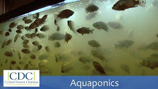 Aquaponics Tour [upl. by Admana]