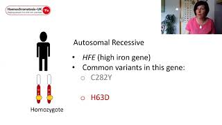 An introduction to the genetics of haemochromatosis [upl. by Ahen]