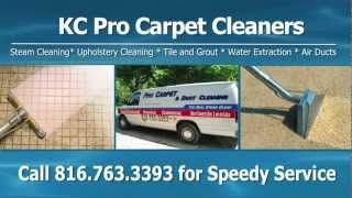 Carpet Cleaning Overland Park KS Merriam Shawnee Mission Raytown Grandview Liberty [upl. by Hannavas]