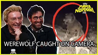 Real Life WEREWOLF Caught on Camera ft Rhys Darby and Dan Schreiber [upl. by Airalednac]