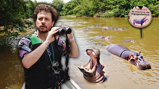 Buscando la plaga de hipopótamos de Escobar en Colombia  ¿Es real ⚠️🦛🇨🇴 [upl. by Eadwine]