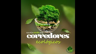 CORREDORES ECOLÓGICOS 🌳 [upl. by Htebzile146]