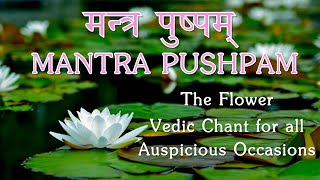 Mantra Pushpam  Yopaam Pushpam Veda  Vedic Chant offer flowers to God with devotion  Yajur Veda [upl. by Aniwde767]