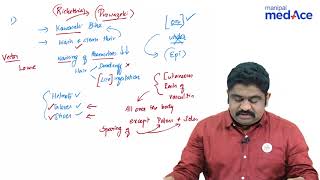 Microbiology  Rickettsia story of Rickettsia Prowazeki [upl. by Andres]