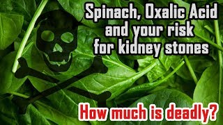 Is Dr Greger wrong about Spinach How bad are Oxalates really [upl. by Lamag692]