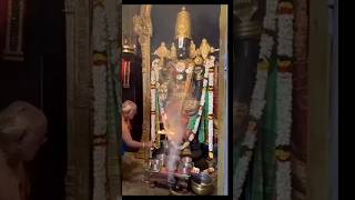 Srinivasa Govinda Song Tirupati perumal songs Govinda Hari Narayana viralgovinda [upl. by Agnesse]