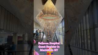 BELLEVUE HOSPITAL NY [upl. by Cecelia877]