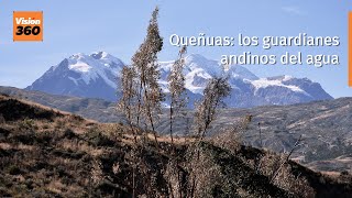 Queñuas los guardianes andinos del agua [upl. by Etolas]